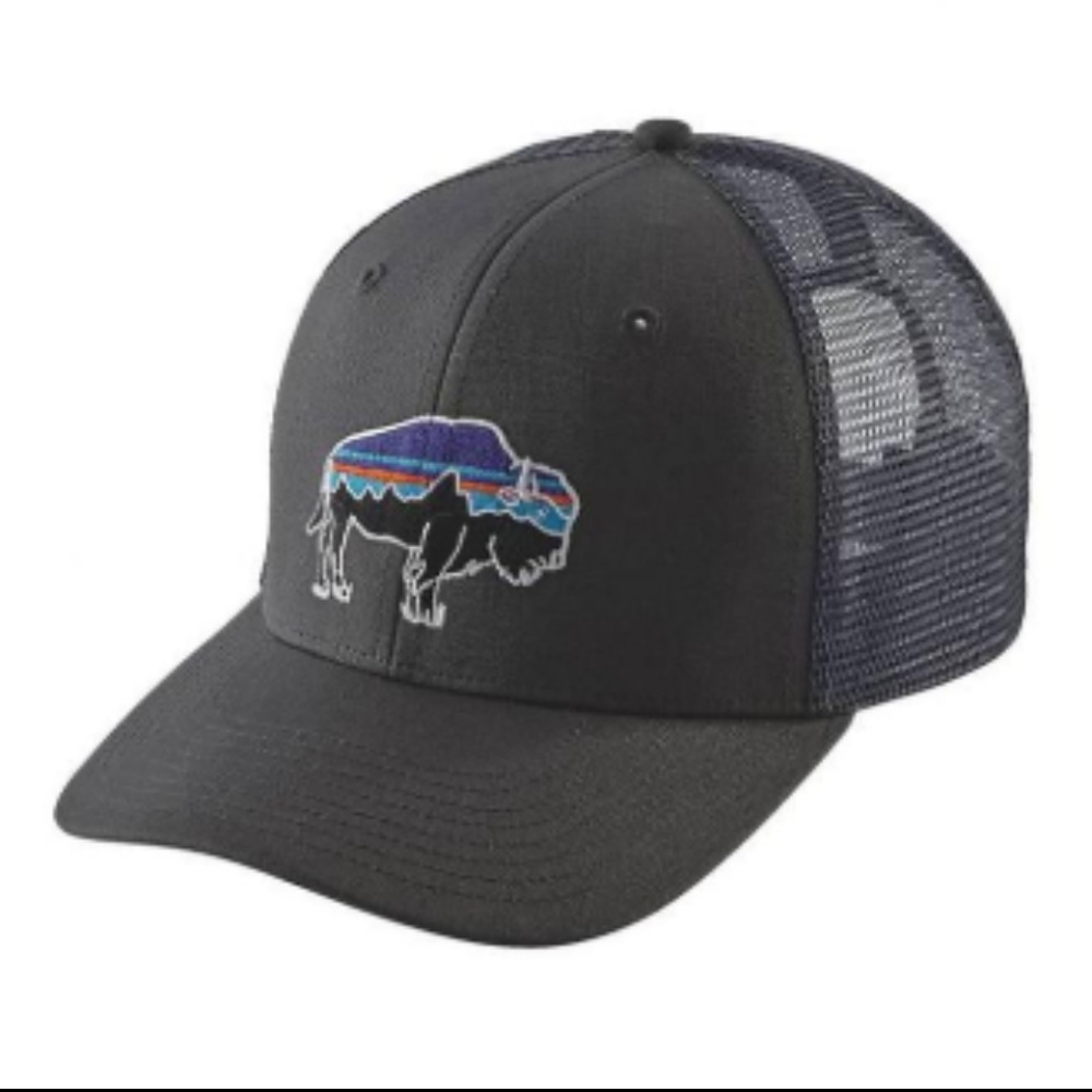 Patagonia Trucker Hat - Fitz Roy Bison